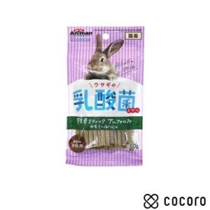 アルファルファ カモミール風味 50g 牧草スティック ウサギの乳酸菌おやつ