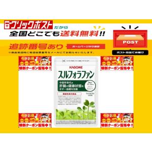 スルフォラファン  93粒 31日分 カゴメ  血中肝機能酵素 ALT 肝臓 肝機能 機能性表示食品