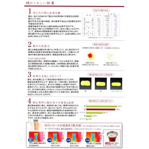 食楽工房 日本製 銅製 ストレート マグ 36...の詳細画像2