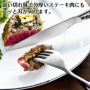 ステンレス 日本製 燕三条製 燕熟の技 ステー...の詳細画像1