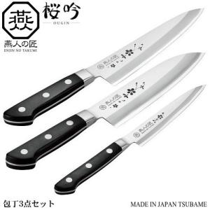 スイカを切る 包丁 日本製 ステンレス もち切り すいか包丁 刃渡り