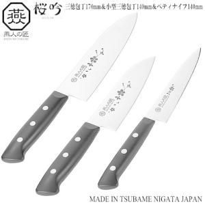 竜神」ステンレス一体型 ペティナイフ 150mm/大真産業/送料無料 : 新潟