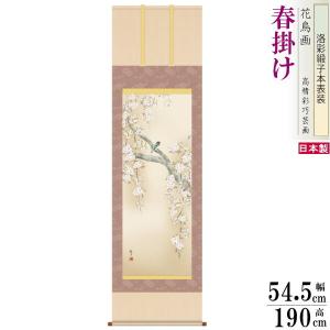 掛け軸 花鳥画 夏掛け 田村竹世 朝顔 洛彩緞子本表装 尺5 桐箱入り 1個