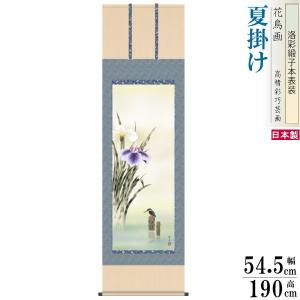 掛け軸 花鳥画 春掛け 森山観月 桜花に小鳥 洛彩緞子本表装 尺5 桐