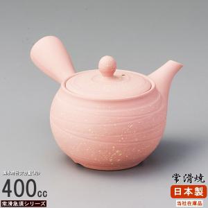 常滑焼急須 昭萌窯 われもこう 手造り急須 昭萠 黒泥 柄帯 アミ 急須