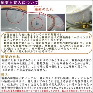 有田焼き 盛り皿 シリーズ 呉須トチリ円渕 丸...の詳細画像2