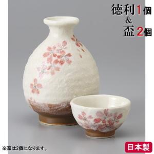 ひょうたん十分盃ほどほど ギフトセット 磁器 青磁 日本酒 酒
