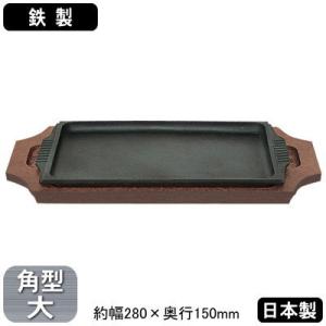 ステーキ皿 鉄板 鉄製 309 長方形 大 23cm 日本製 業務用 家庭用 皿 鉄