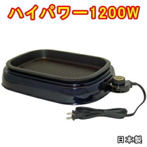 recolte（レコルト） ホットプレート ベーシック RHP-3 (RGY) レッド