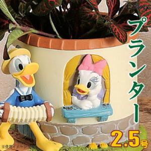 Disney（ディズニー） フラワーポット ミッキーポット （ ガーデン