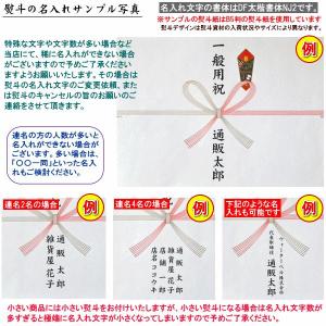 ◆◆◆【一般のお祝いの贈り物用のし】蝶結び熨斗...の詳細画像1