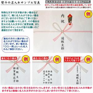 ◆◆◆【一般のお祝い、お返し用のし】蝶結び熨斗...の詳細画像1