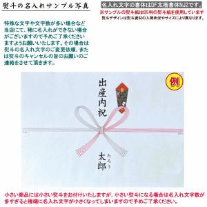 ◆◆◆【赤ちゃんを祝ってもらった お返し用のし...の詳細画像1