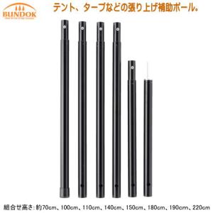オガワ　スチールポール200センチ　2セット（8本） ogawa オガワ ALアップライトポール200cm 3006 キャンプ テント