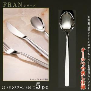 スプーン 5本セット FRANシリーズ 仕上 オールつや消し アイスクリーム