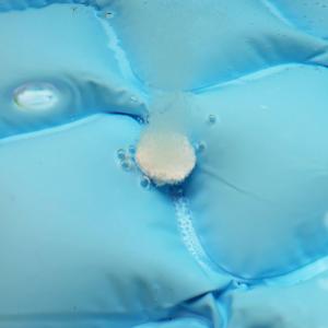 紀陽除虫菊 家庭用プール水の清浄剤プールの水キ...の詳細画像4