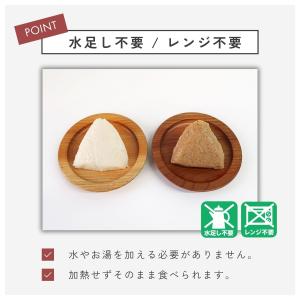 【賞味期限:塩/2031年1月・しょうゆ/20...の詳細画像3