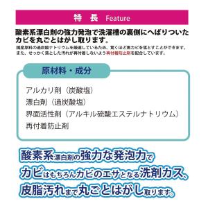 紀陽除虫菊 非塩素系 洗濯槽クリーナー 750...の詳細画像4