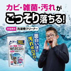 紀陽除虫菊 非塩素系 洗濯槽クリーナー 750...の詳細画像1