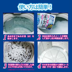 紀陽除虫菊 非塩素系 洗濯槽クリーナー 750...の詳細画像2