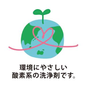 紀陽除虫菊 非塩素系 洗濯槽クリーナー 750...の詳細画像5