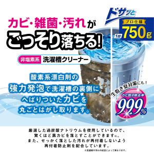 紀陽除虫菊 非塩素系 洗濯槽クリーナー 750...の詳細画像3
