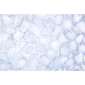 紀陽除虫菊 氷clean 自動製氷機 洗浄剤 ...の詳細画像4