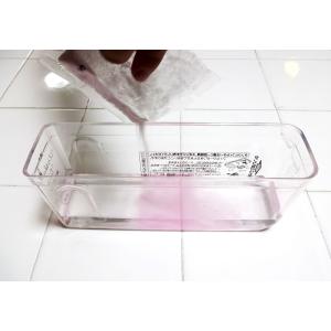 紀陽除虫菊 氷clean 自動製氷機 洗浄剤 ...の詳細画像5
