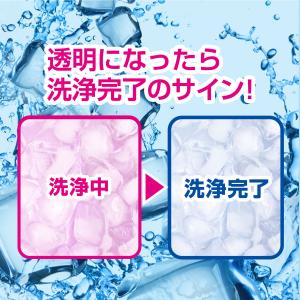 紀陽除虫菊 氷clean 自動製氷機 洗浄剤 ...の詳細画像2