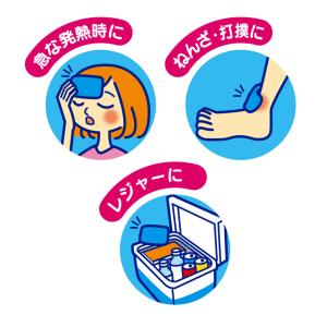 紀陽除虫菊 速攻冷却 20個セット 瞬間冷却パ...の詳細画像1