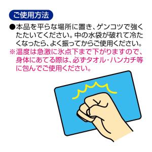 紀陽除虫菊 速攻冷却 20個セット 瞬間冷却パ...の詳細画像2
