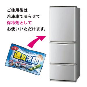 紀陽除虫菊 速攻冷却 20個セット 瞬間冷却パ...の詳細画像3