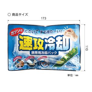 紀陽除虫菊 速攻冷却 20個セット 瞬間冷却パ...の詳細画像4