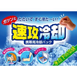 紀陽除虫菊 速攻冷却 20個セット 瞬間冷却パ...の詳細画像5