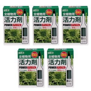 紀陽除虫菊 活力剤(全植物用)8本入 5個セット｜kokuboshop