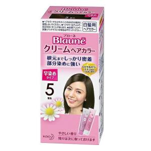 花王　ブローネ　クリームヘアカラー５　栗色　１剤45g＋２剤45g｜kokumin