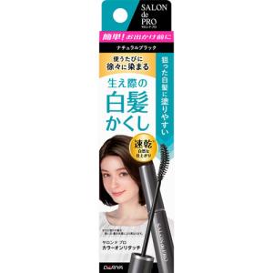 堀井産業 AMOROUS 黒彩（白髪用カラースプレー） 黒 135ml