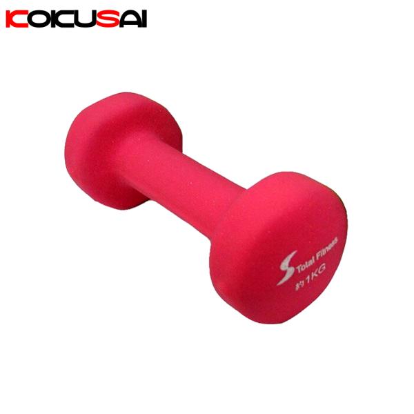 カラーアレー 1kg ピンク 鉄アレー 筋トレ 筋力アップ トレーニング ダイエット エクササズ N...