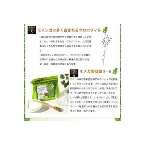 売上還元のため値下げ!国産 モリンガゴールド粉...の詳細画像2
