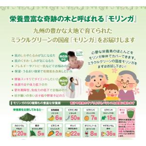 売上還元のため値下げ!国産 モリンガゴールド粉...の詳細画像1