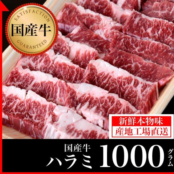 牛肉 国産牛 ハラミ はらみ 1kg（500ｇ×2）鹿児島 国産 薩摩 ハラミ ホルモン 内臓 牛肉...