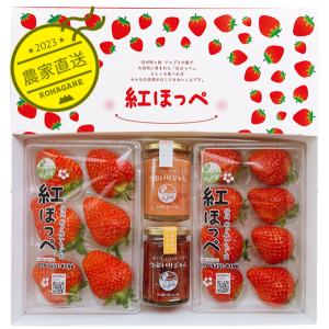 いちご 楽天市場】奈良産 古都華イチゴ（ことかいちご）小粒 Mサイズ