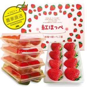信州駒ヶ根いちご園 - Yahoo!ショッピング