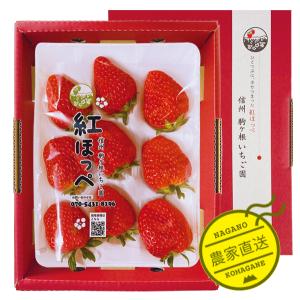 いちご 紅ほっぺ 贈答用 特大いちご 送料無料...の詳細画像1