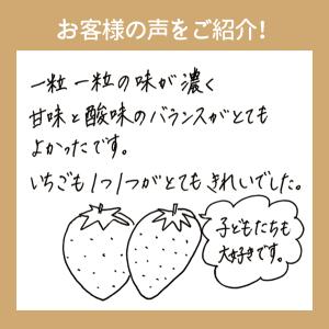 いちご 紅ほっぺ 贈答用 特大いちご 送料無料...の詳細画像5