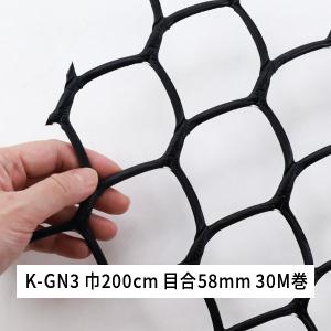 ダイプラ ネトロンシート K-GN3 巾200cm 亀甲目 30M巻 黒 K-GN3巾200cm タキロンシーアイシビル