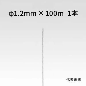 荒川技研 ストレートワイヤー ステンレス Φ1.2mm×100m 90011290｜komaki5kin