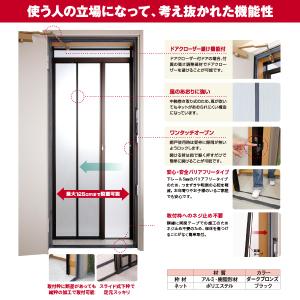 セイキ 玄関ドア用網戸 網戸屋一番2 ADY2...の詳細画像1