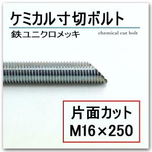 鉄　ケミカル寸切ボルト　片面カット　M16×250/10本単位｜komaki5kin