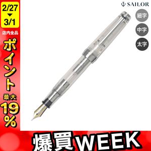 プラチナ万年筆 PLATINUM 銀無垢 #9 シルバー 万年筆 PTS-50000 M 中